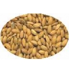 Arroz Cateto C/ Casca SC 5 KG